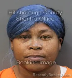 Mugshot of JANA RAYE WRIGHT