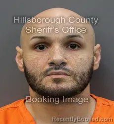 Mugshot of JAMES ELLIOT SUAREZ