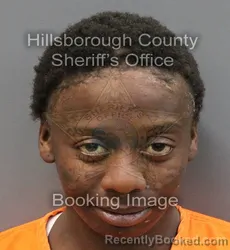 Mugshot of LATISHA LAVONE CLARK