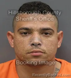 Mugshot of RODNEY LINFERNAL ALVAREZ