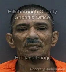 Mugshot of ELICEO VALDEZ booked in Hillsborough County, Florida on July 6, 2026