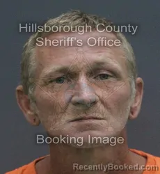 Mugshot of MICHEAL NOLAN RICHARDS booked in Hillsborough County, Florida on July 6, 2026