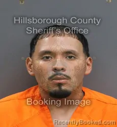 Mugshot of LUIS ALBERTO JR RODRIGUEZ booked in Hillsborough County, Florida on July 6, 2026