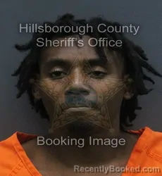 Mugshot of ALQUAVEON MARQUISE JACKSON booked in Hillsborough County, Florida on July 6, 2026