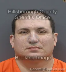 Mugshot of DAVID GERMAN GONZALEZ booked in Hillsborough County, Florida on July 6, 2026