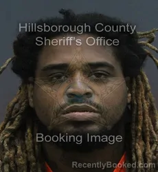 Mugshot of HAKEEM FRED WILLIAMS booked in Hillsborough County, Florida on July 6, 2026