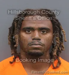 Mugshot of JALIN MARLIN GERONIMO MEACHEM booked in Hillsborough County, Florida on July 6, 2026