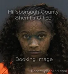 Mugshot of DEJANAE AMIRAH DENICE BADGER booked in Hillsborough County, Florida on July 6, 2026
