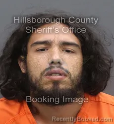 Mugshot of JORGE JR RAMOS booked in Hillsborough County, Florida on July 6, 2026