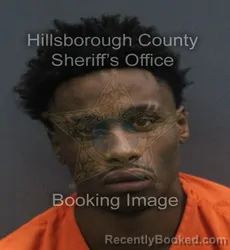 Mugshot of AMORI SMITH booked in Hillsborough County, Florida on July 6, 2026