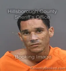 Mugshot of KEINIER CONTRERAS VILLA booked in Hillsborough County, Florida on July 6, 2026