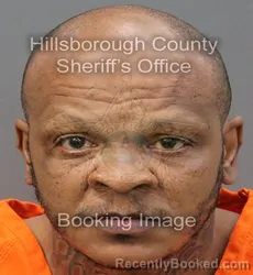 Mugshot of VERNA CARVER III BURCH