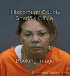 Mugshot of DAMARIS ELENA TRIANA booked in Hillsborough County, Florida on July 7, 2026