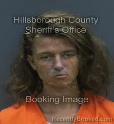 Mugshot of MICHELLE GRACE CHALFANT booked in Hillsborough County, Florida on July 7, 2026