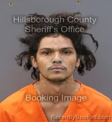 Mugshot of ANTHONI SANTANA WILLIAMS