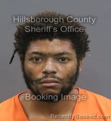 Mugshot of DA'MON TIMOTHY RASHAAD LARRY booked in Hillsborough County, Florida on July 7, 2026