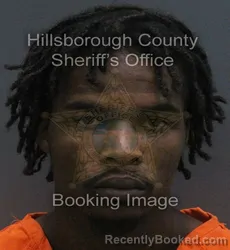Mugshot of JAVONE Q NALL booked in Hillsborough County, Florida on July 7, 2026