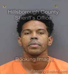 Mugshot of BRENTON TAURON MCNEIL booked in Hillsborough County, Florida on July 7, 2026
