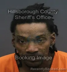 Mugshot of ANTHONY P BROWN booked in Hillsborough County, Florida on July 7, 2026