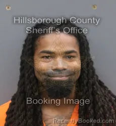 Mugshot of RICKY NEWMAN WILSON booked in Hillsborough County, Florida on July 7, 2026