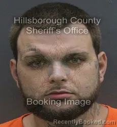 Mugshot of IZAIAH JACOB HAYA MINYARD booked in Hillsborough County, Florida on July 7, 2026