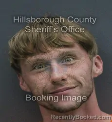 Mugshot of NOAH CHARLES BOSCH booked in Hillsborough County, Florida on July 7, 2026