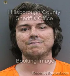 Mugshot of FINN BRILLHART BOLAM booked in Hillsborough County, Florida on July 7, 2026