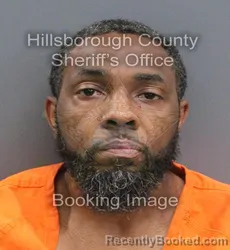 Mugshot of A LN FLORENTIST OWENS booked in Hillsborough County, Florida on July 7, 2026