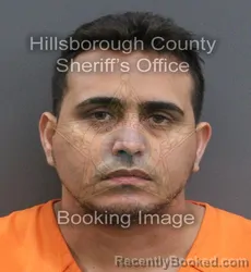 Mugshot of LUIS ALBERTO APONTE BRICENO booked in Hillsborough County, Florida on July 7, 2026
