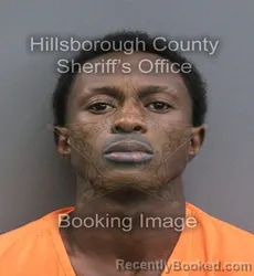 Mugshot of LEHMANI JAHFARI AMERE ILES booked in Hillsborough County, Florida on July 7, 2026