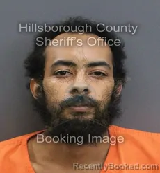 Mugshot of KEVIN CHRISTOPHER JUNI II MCCOY booked in Hillsborough County, Florida on July 7, 2026
