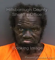 Mugshot of LARRY JAMES ELLMAN booked in Hillsborough County, Florida on July 7, 2026