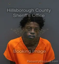Mugshot of JAHMICHAEL LAMAR ALCENDOR booked in Hillsborough County, Florida on July 13, 2026