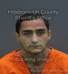 Mugshot of SEYED DANIAL HOSSEININIA booked in Hillsborough County, Florida on July 13, 2026