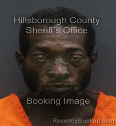 Mugshot of DARRELL DWAYNE GILMORE booked in Hillsborough County, Florida on July 13, 2026