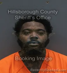 Mugshot of JOHN HENRY III WALLACE booked in Hillsborough County, Florida on July 13, 2026