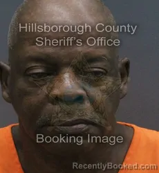Mugshot of THEONZIE CORDELL WHITE booked in Hillsborough County, Florida on July 13, 2026