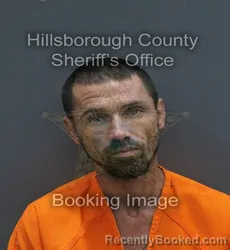 Mugshot of MICHAEL THOMAS LOWE booked in Hillsborough County, Florida on July 13, 2026