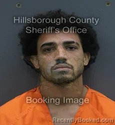 Mugshot of DARWIN OMILE COTTO FIGUEROA booked in Hillsborough County, Florida on July 13, 2026