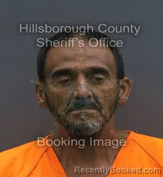 Mugshot of JOSE ANIBAL LAO GARCIA booked in Hillsborough County, Florida on July 13, 2026