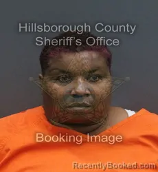 Mugshot of DREAMA YVETTE POPE MENDEZ booked in Hillsborough County, Florida on July 13, 2026