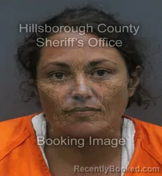 Mugshot of SHELLY LYN FAZIO booked in Hillsborough County, Florida on July 13, 2026