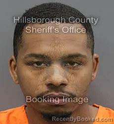 Mugshot of DELSHON JAMARQUIS DEWINDT