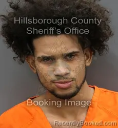 Mugshot of BRENDAN MAURICE KELLON