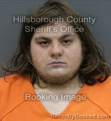 Mugshot of DYLAN KYLE LAUX