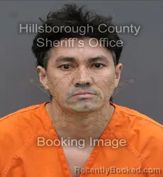 Mugshot of FREDIS MEDINA LIZAMA