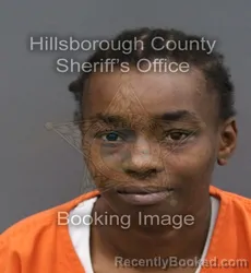 Mugshot of KIYONA MARSHEA ROBINSON