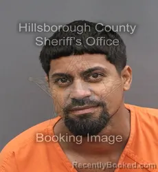 Mugshot of JOXEL ANTONIO LOZADA FLORES booked in Hillsborough County, Florida on July 16, 2026
