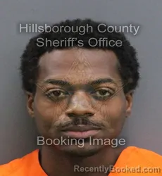 Mugshot of TRAVIS EUSHUN JR BROWN booked in Hillsborough County, Florida on July 16, 2026