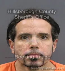 Mugshot of CHRISTOPHER LEE LIZARDI booked in Hillsborough County, Florida on July 16, 2026